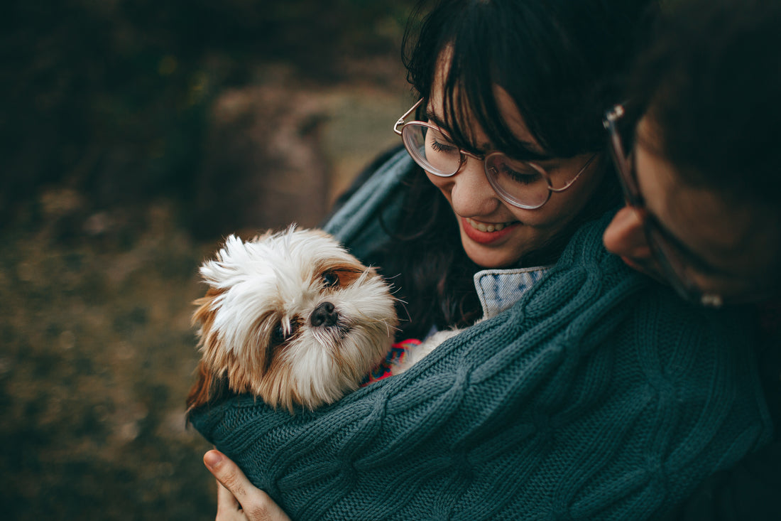 Why Do Dogs Bark at Strangers?