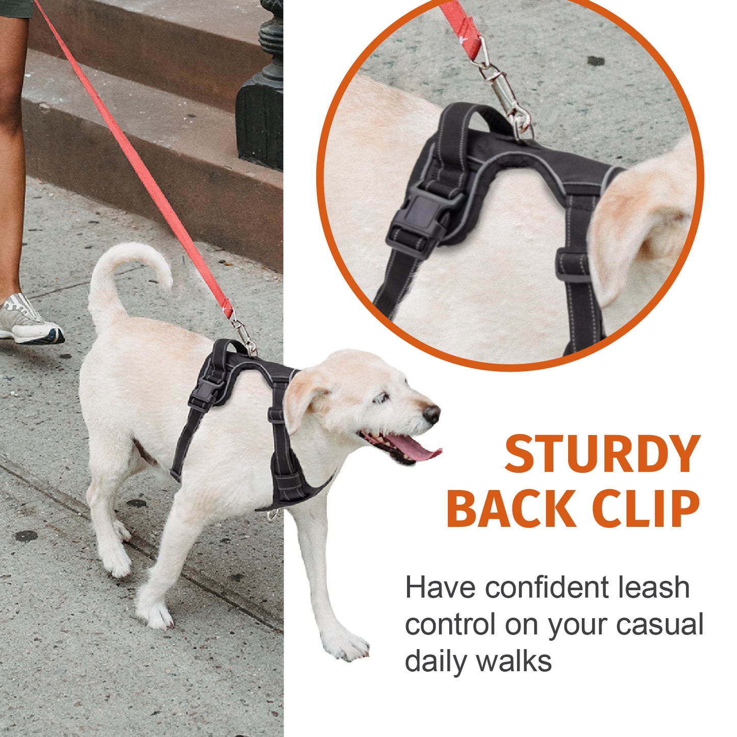 No-Pull Dog Harness, Soft & Breathable Padding, Reflective, For Small to Large dogs