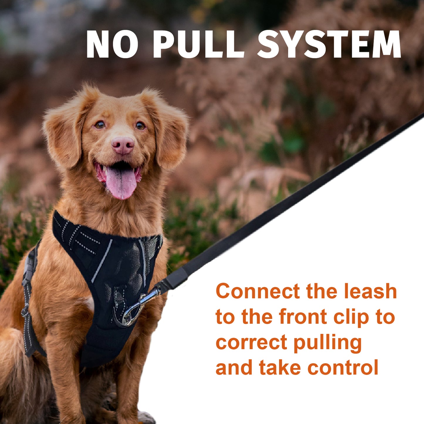 No-Pull Dog Harness, Soft & Breathable Padding, Reflective, For Small to Large dogs