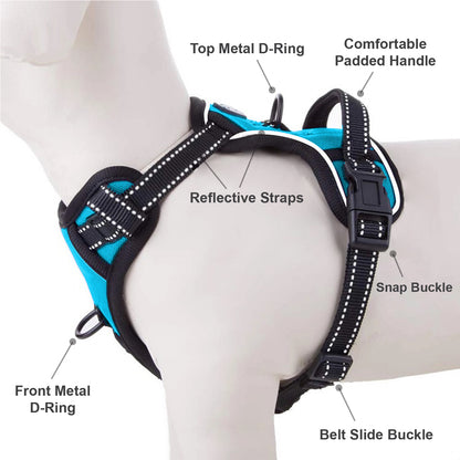 Small Dog Harness