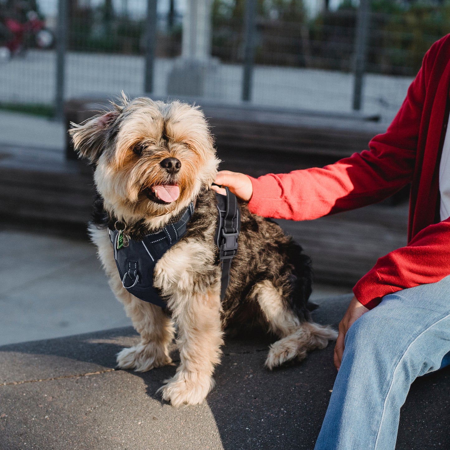 No-Pull Dog Harness, Soft & Breathable Padding, Reflective, For Small to Large dogs